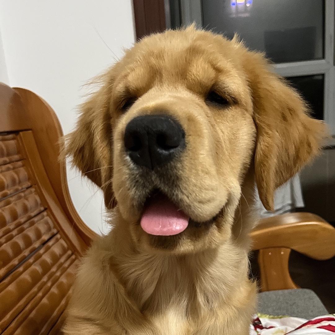 李来钱