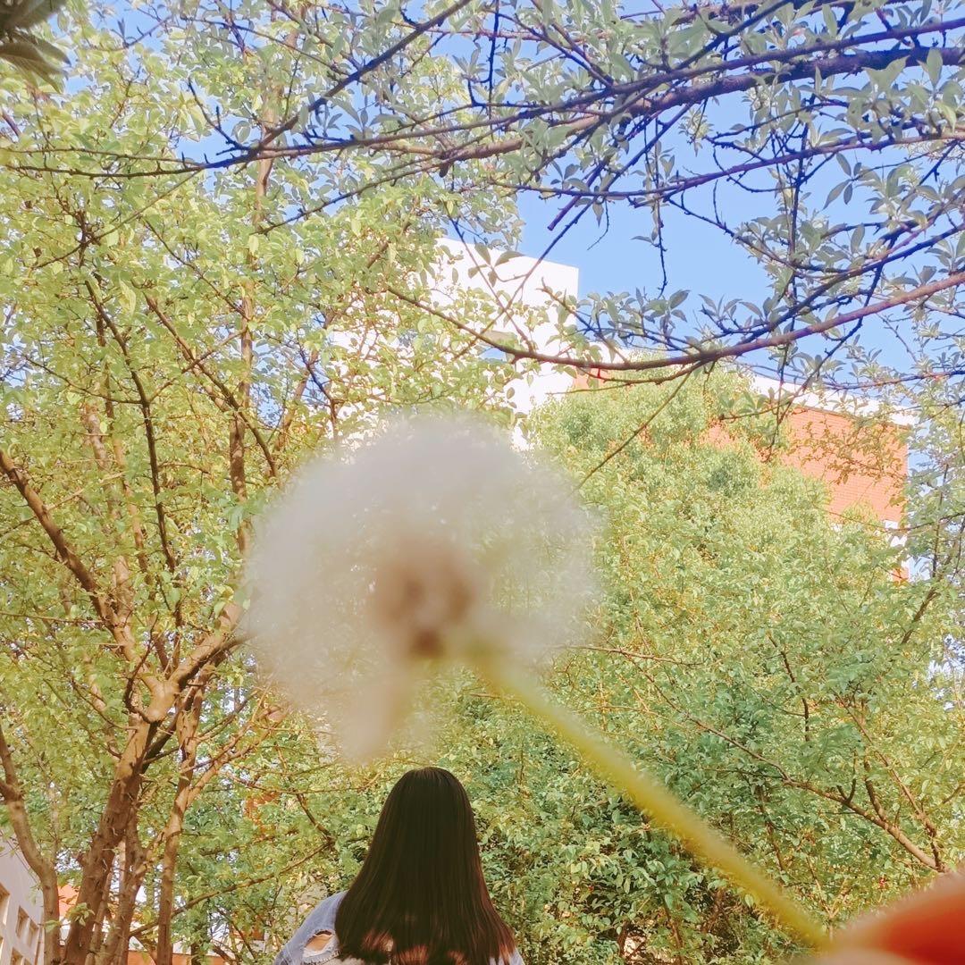 存塑料袋的☀️💧