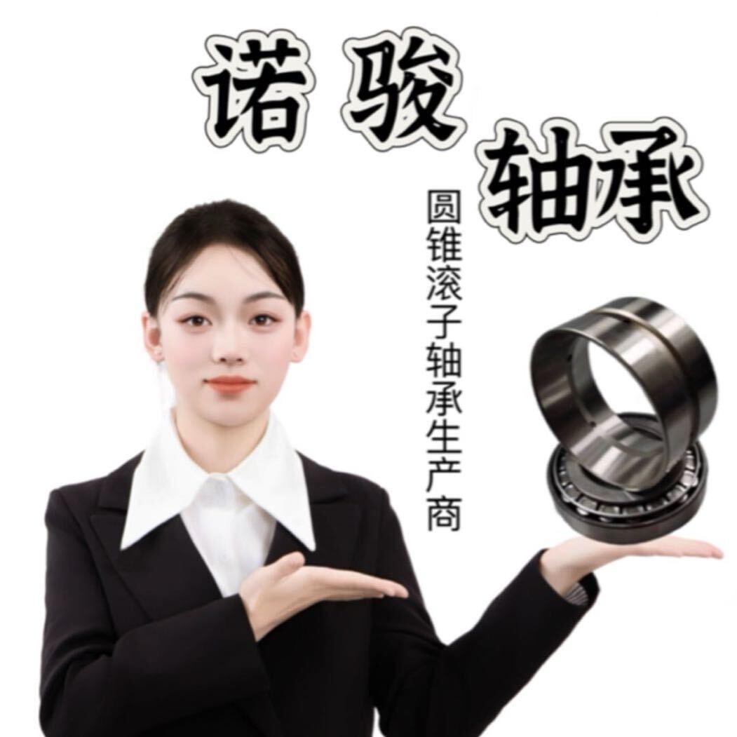 A诺骏七类轴承-李小洁