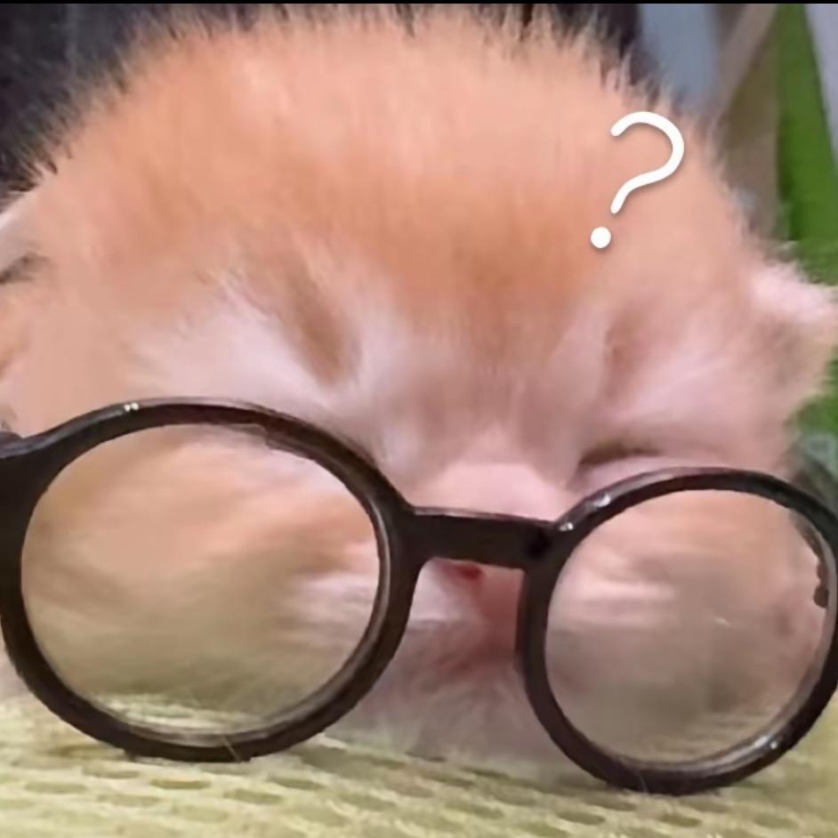 黄焖鸡