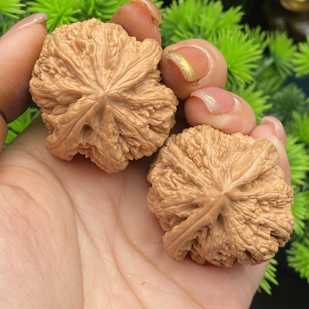 潮潮潮核
