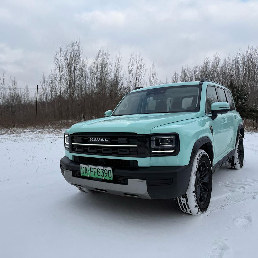 超级无敌大猛龙