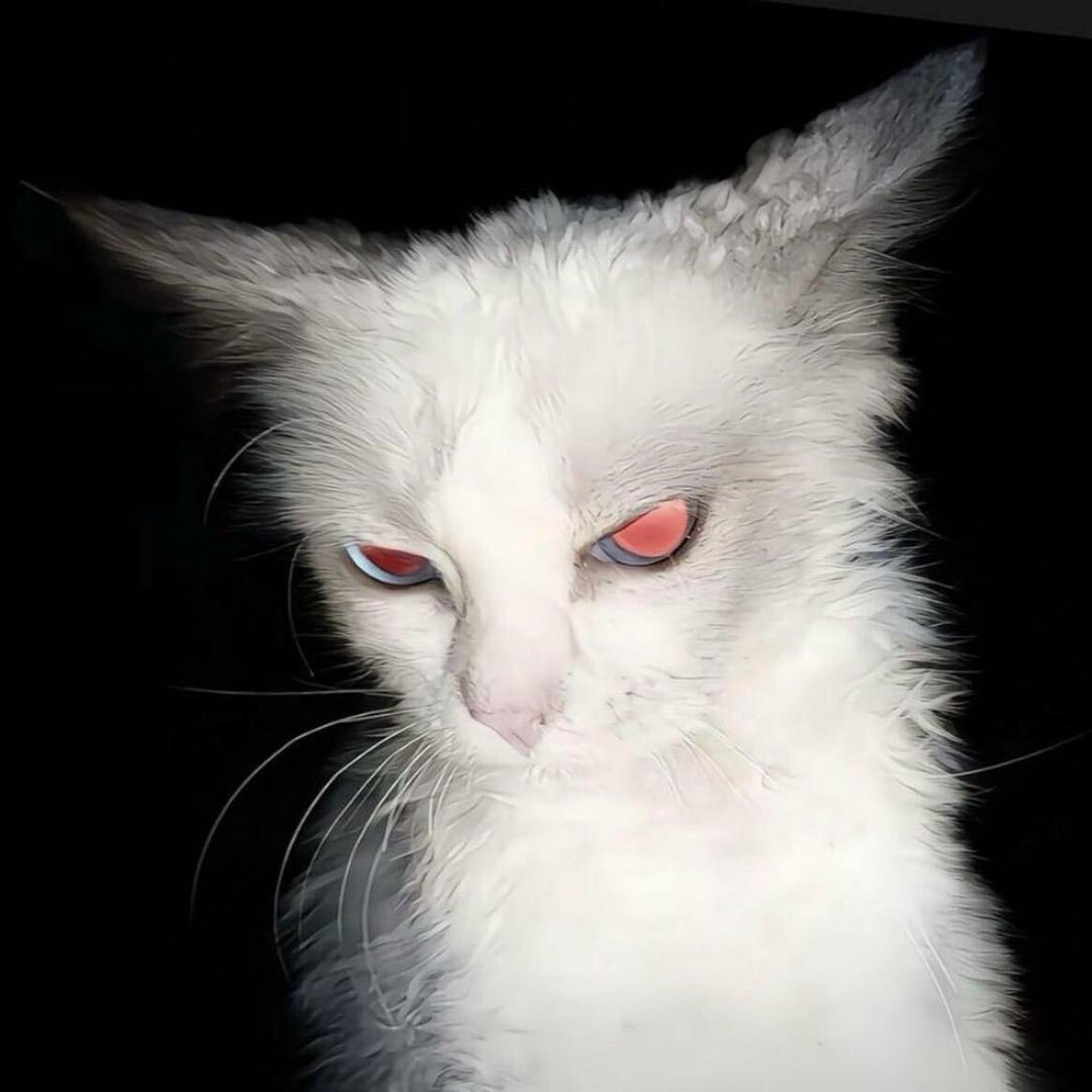 承.