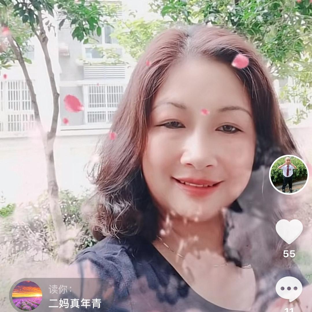 宝应燕南飞