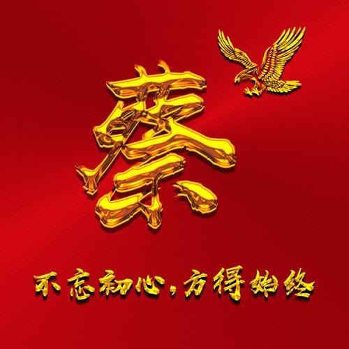 蔡新宏