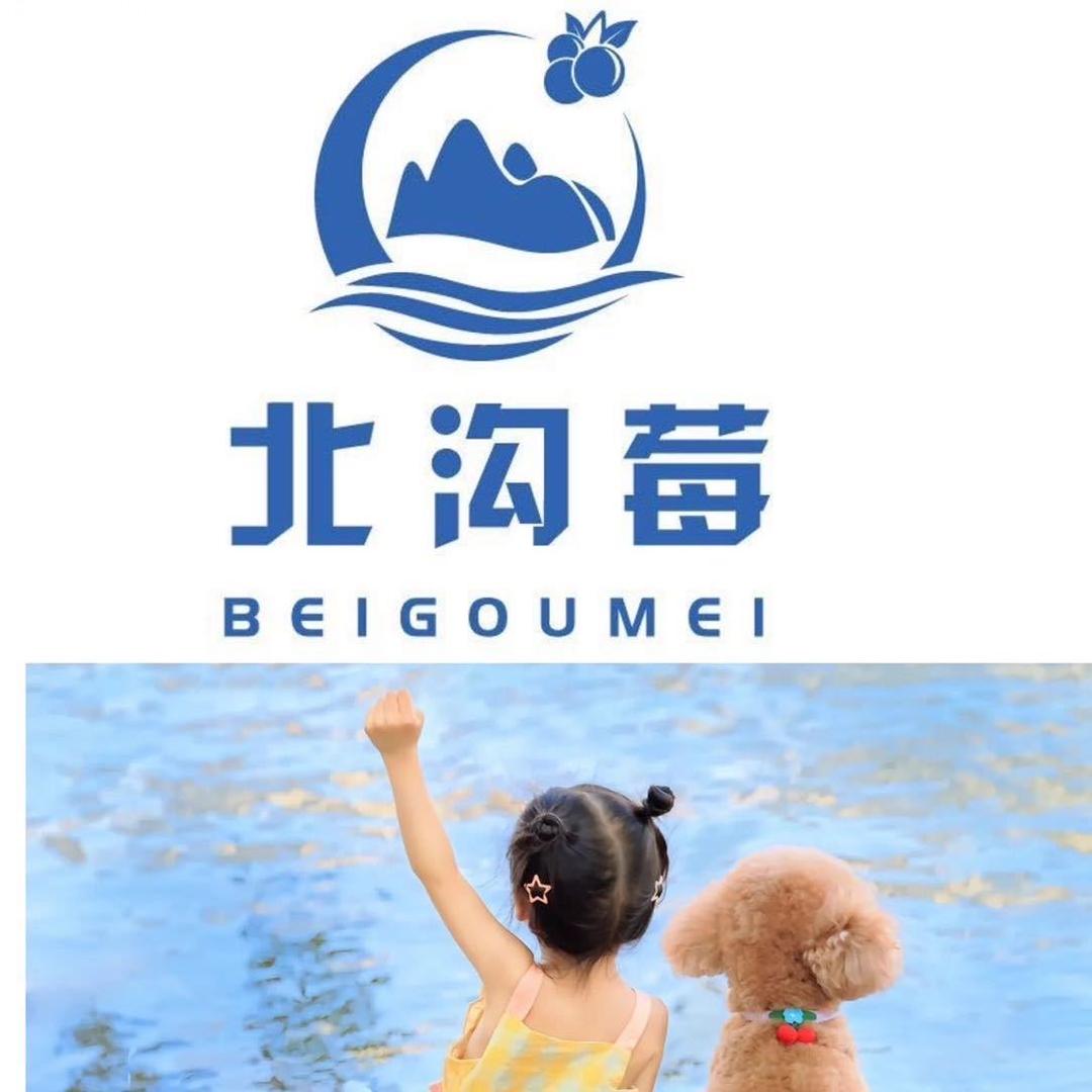 家有大哥二哥 欢乐多