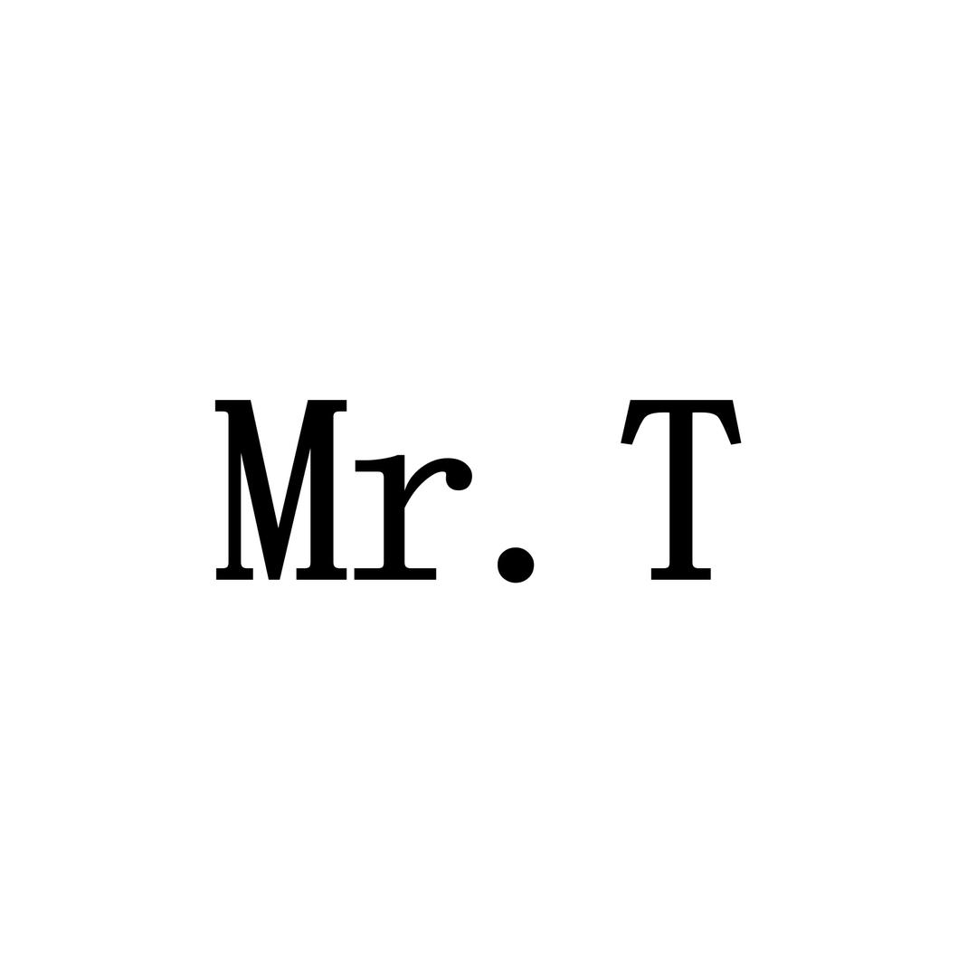 Mr T轻奢女鞋店