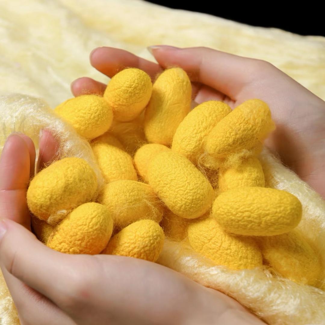 桐乡江南丝女蚕丝被