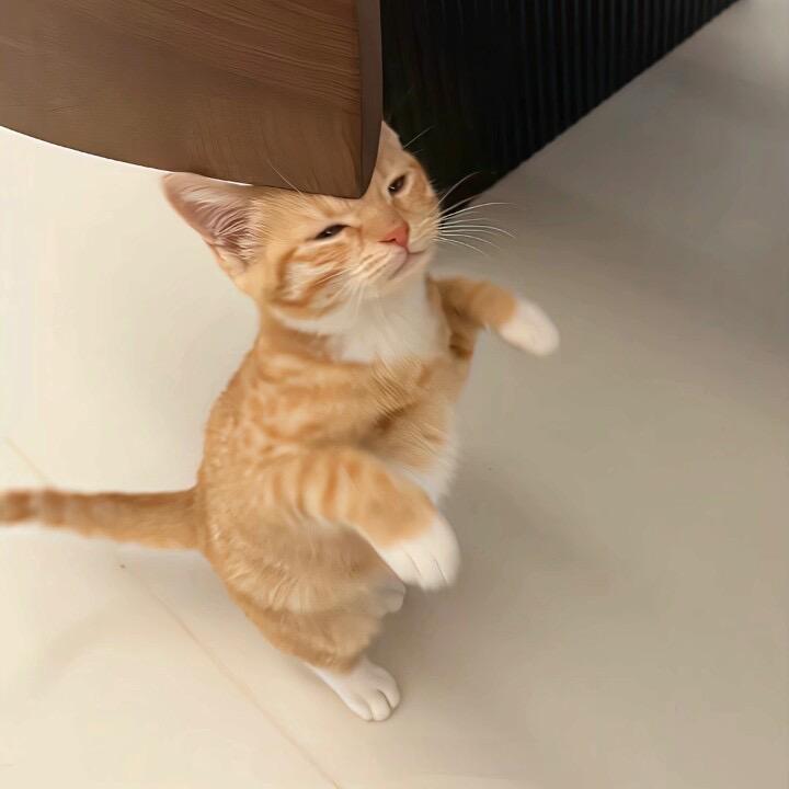 ^小美美莓