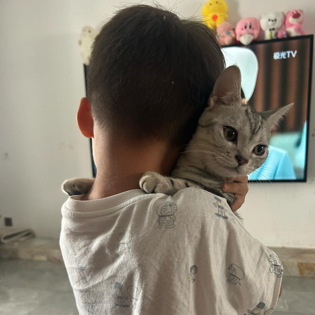 元宝和有才🐱