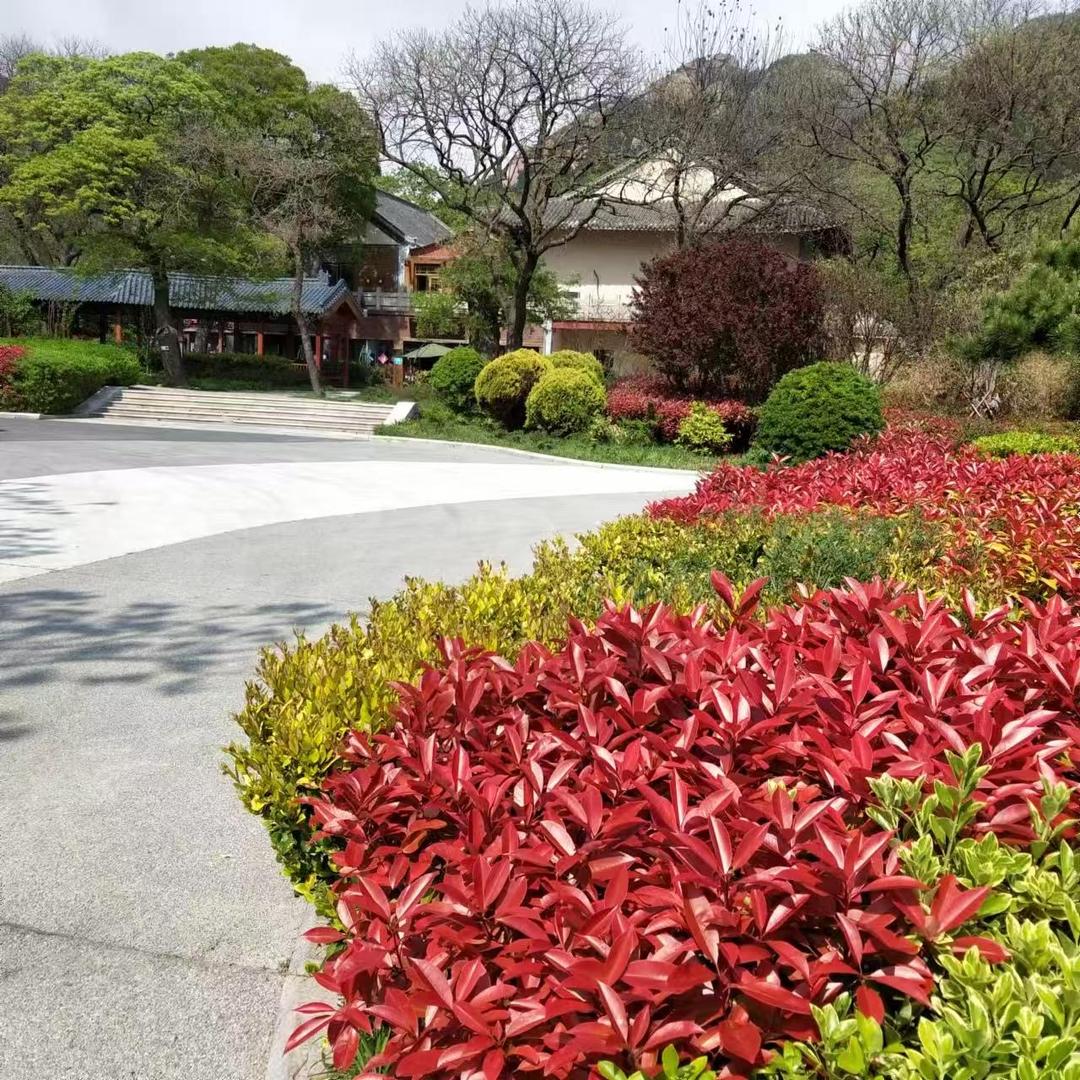 崂山阿欣