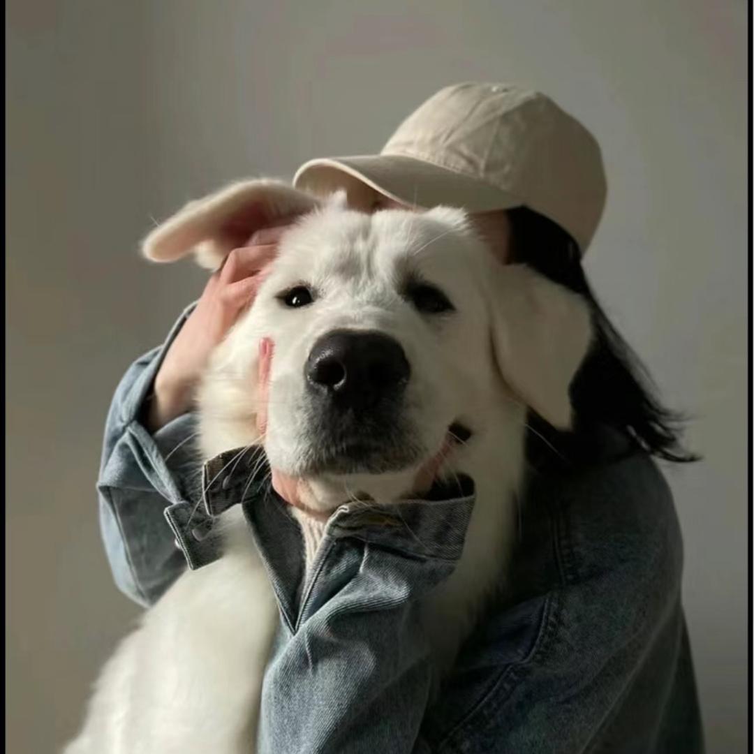小杨And🐑