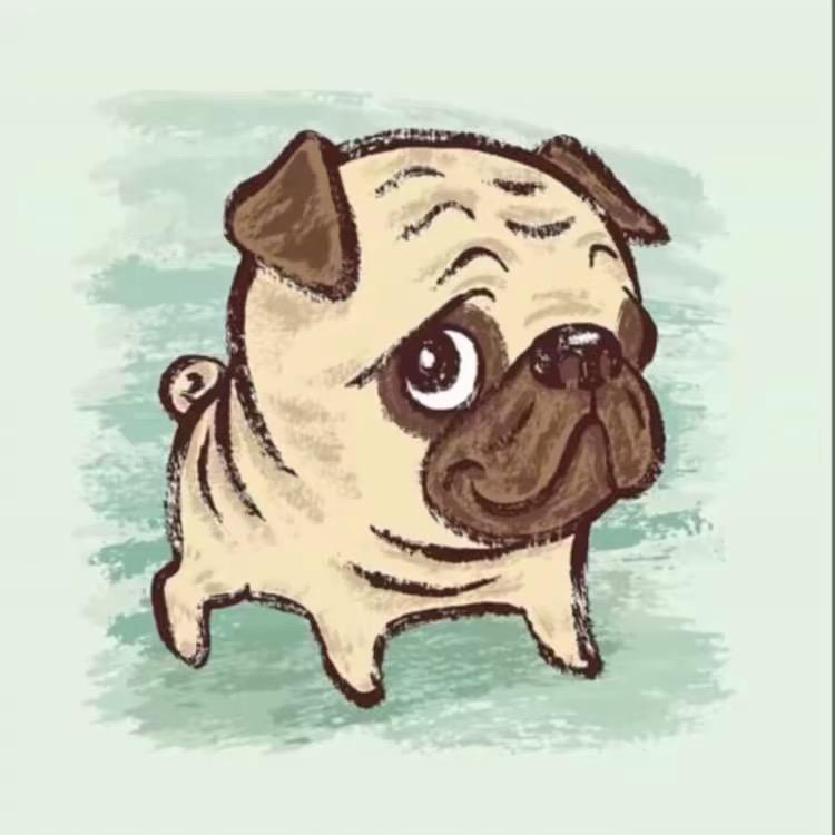 （赵向阳）