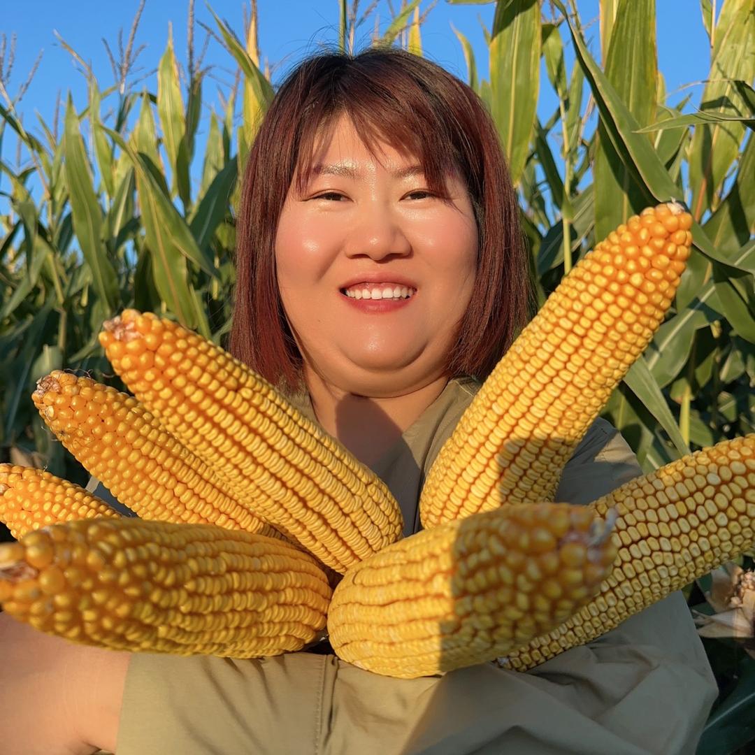 东亚种业玉米春天