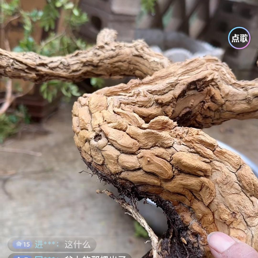 文胜汽车轮胎店