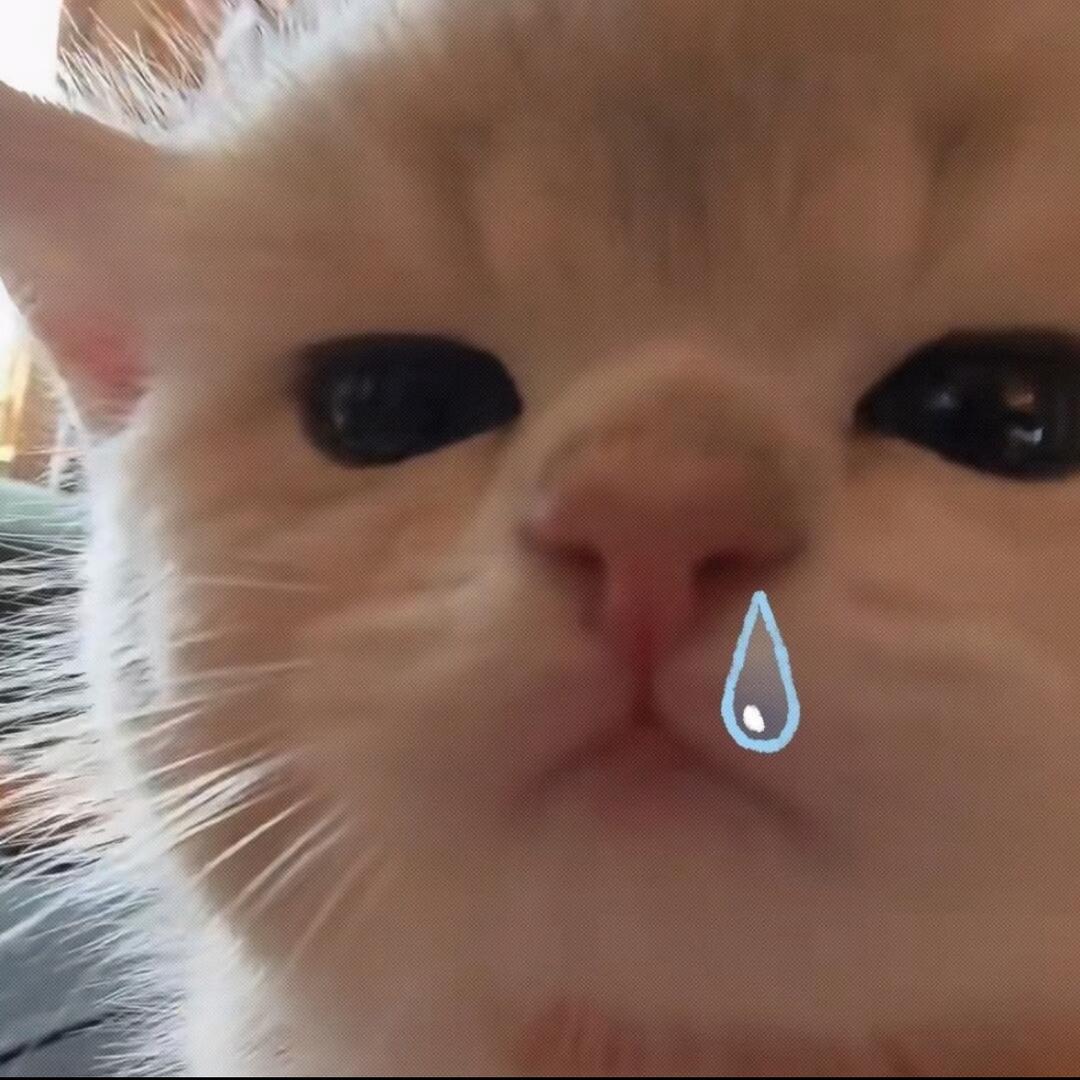 傲娇虾滑