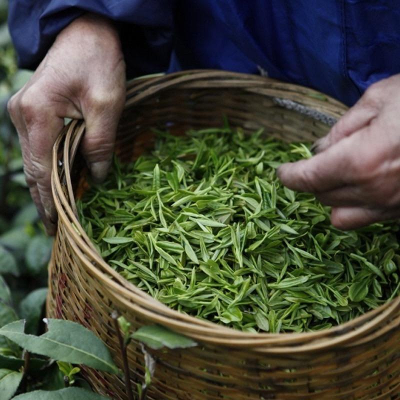 硒缘茶叶店