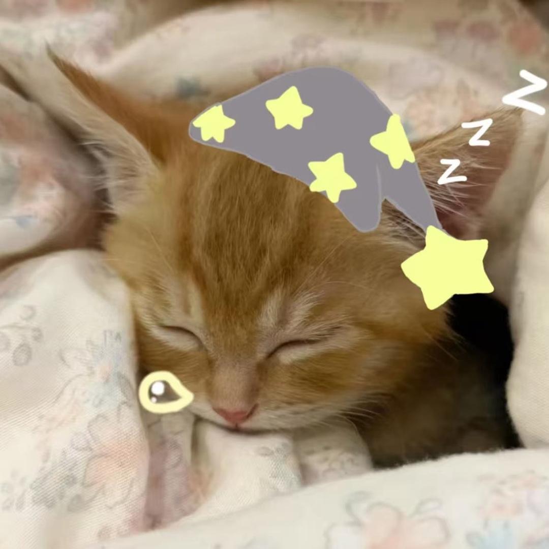 睡一会
