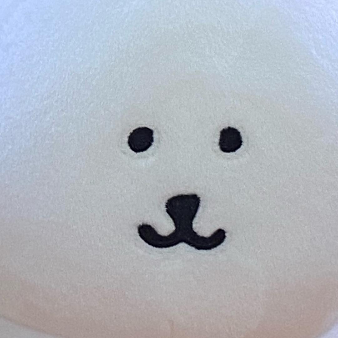 🐰小雨