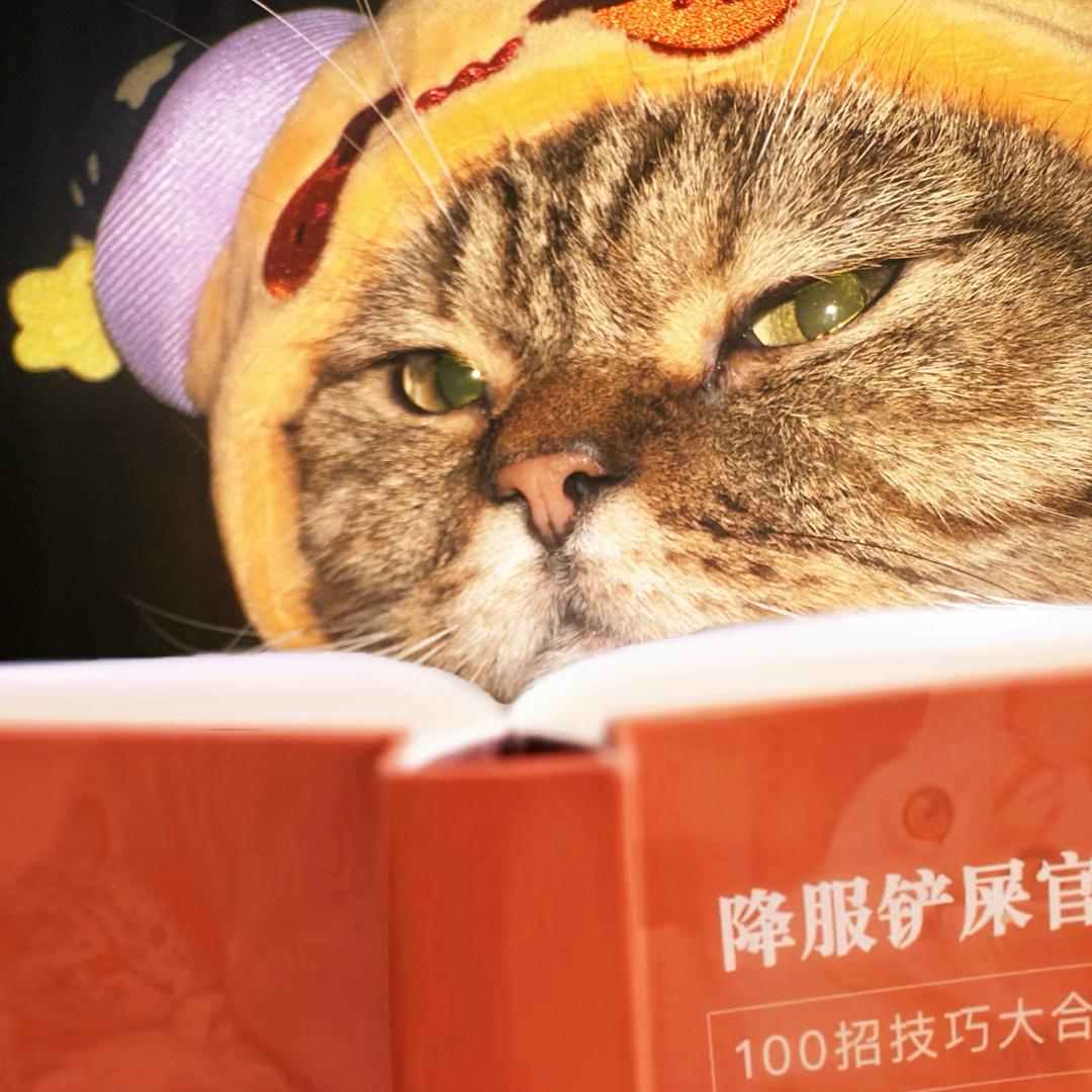 水溜溜球