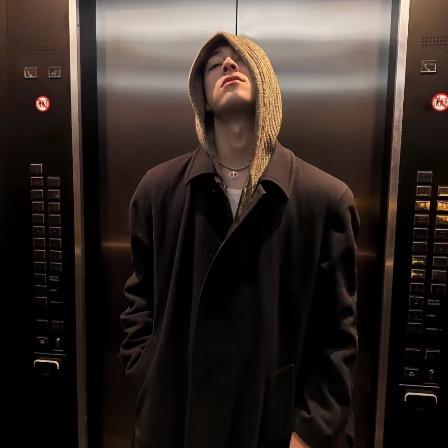 Jay