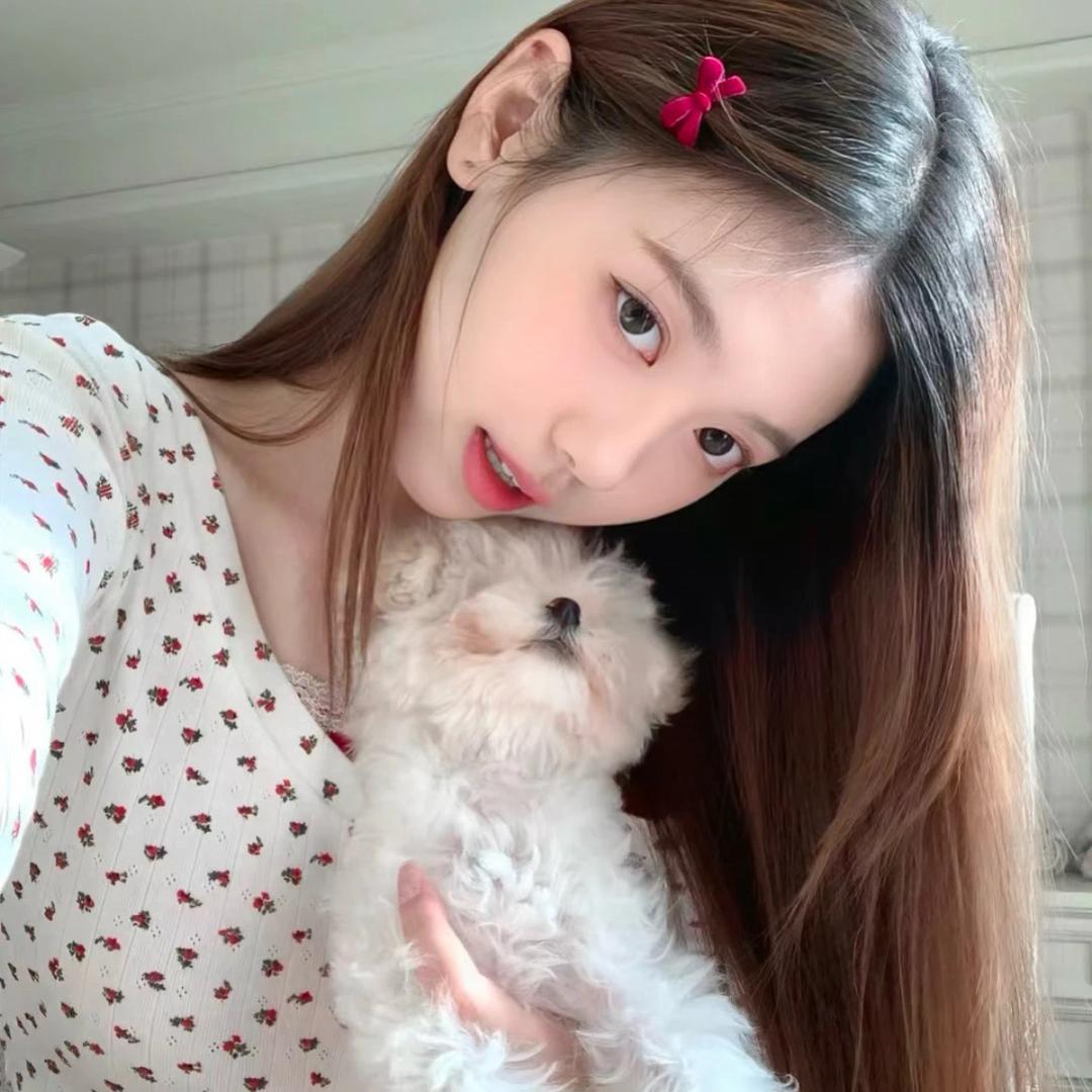 想养猫猫