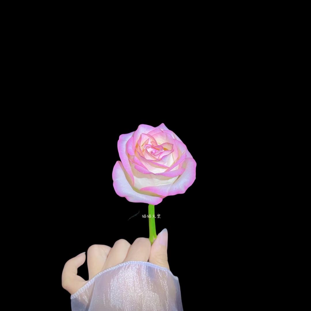 拾一月