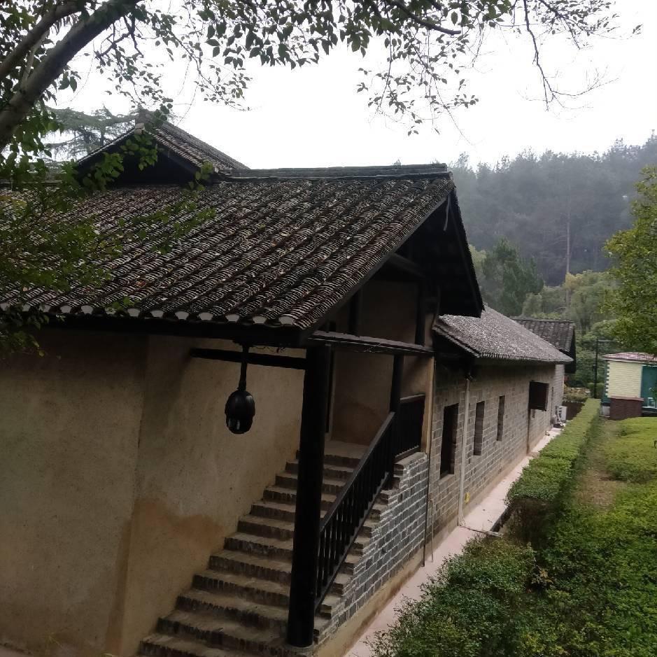 小抖