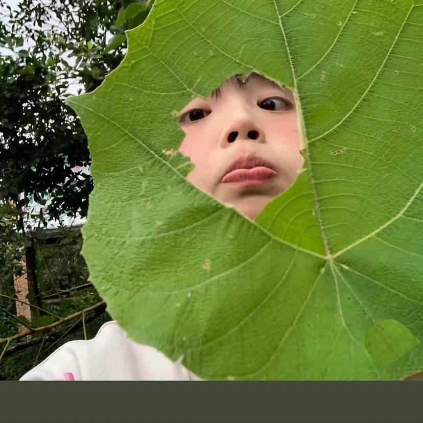 简仓生活
