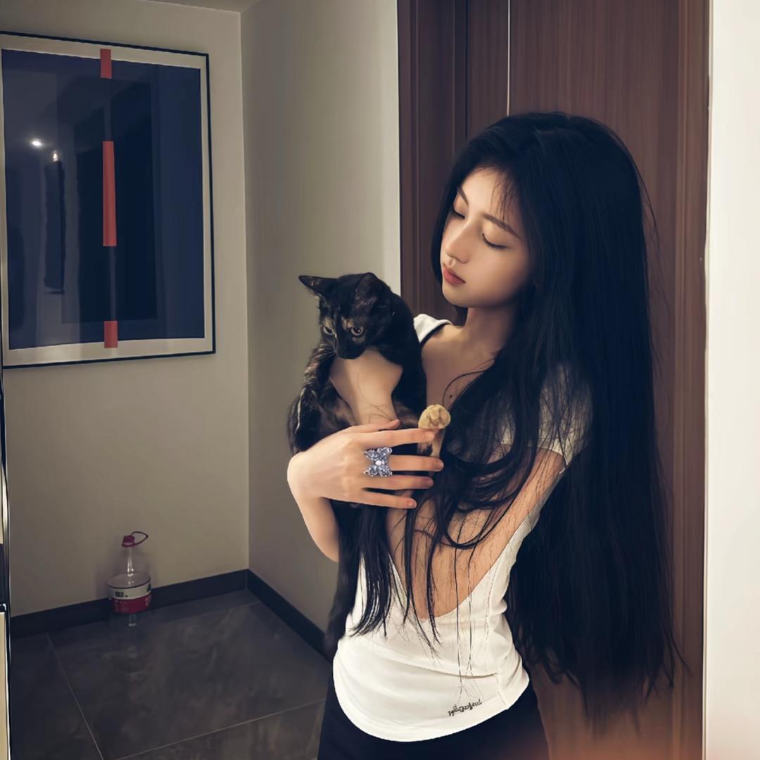 💤