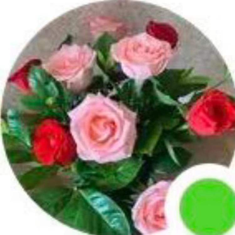 珍姐服务饰精选