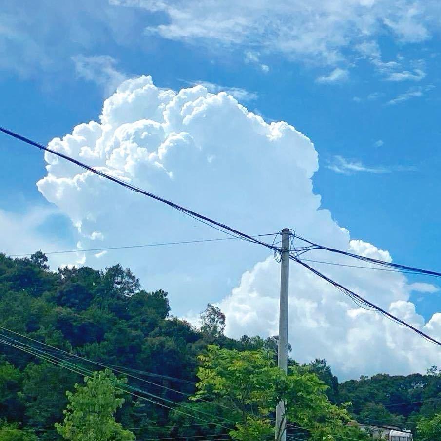 新青年阿洪：在小县城里发光