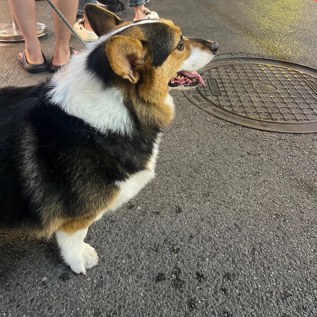 悦亭