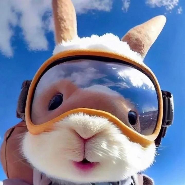 吐槽吃瓜君