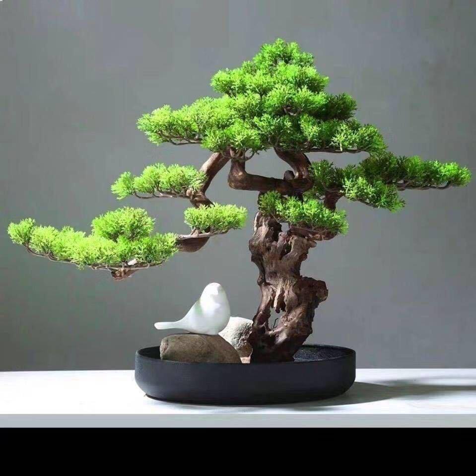 吉星高照