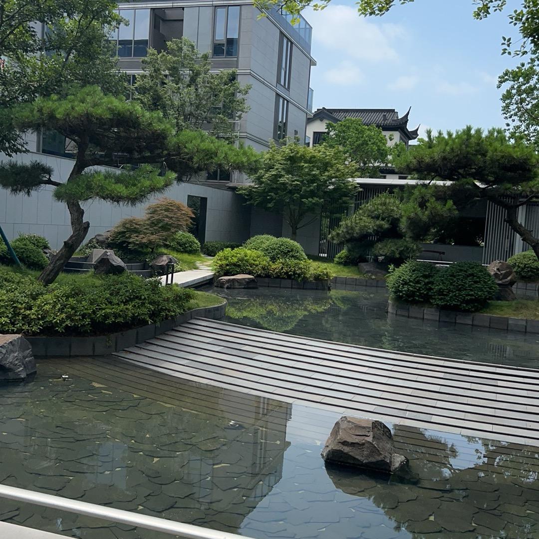 小小的石头🪨