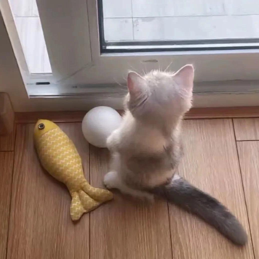 鑫-