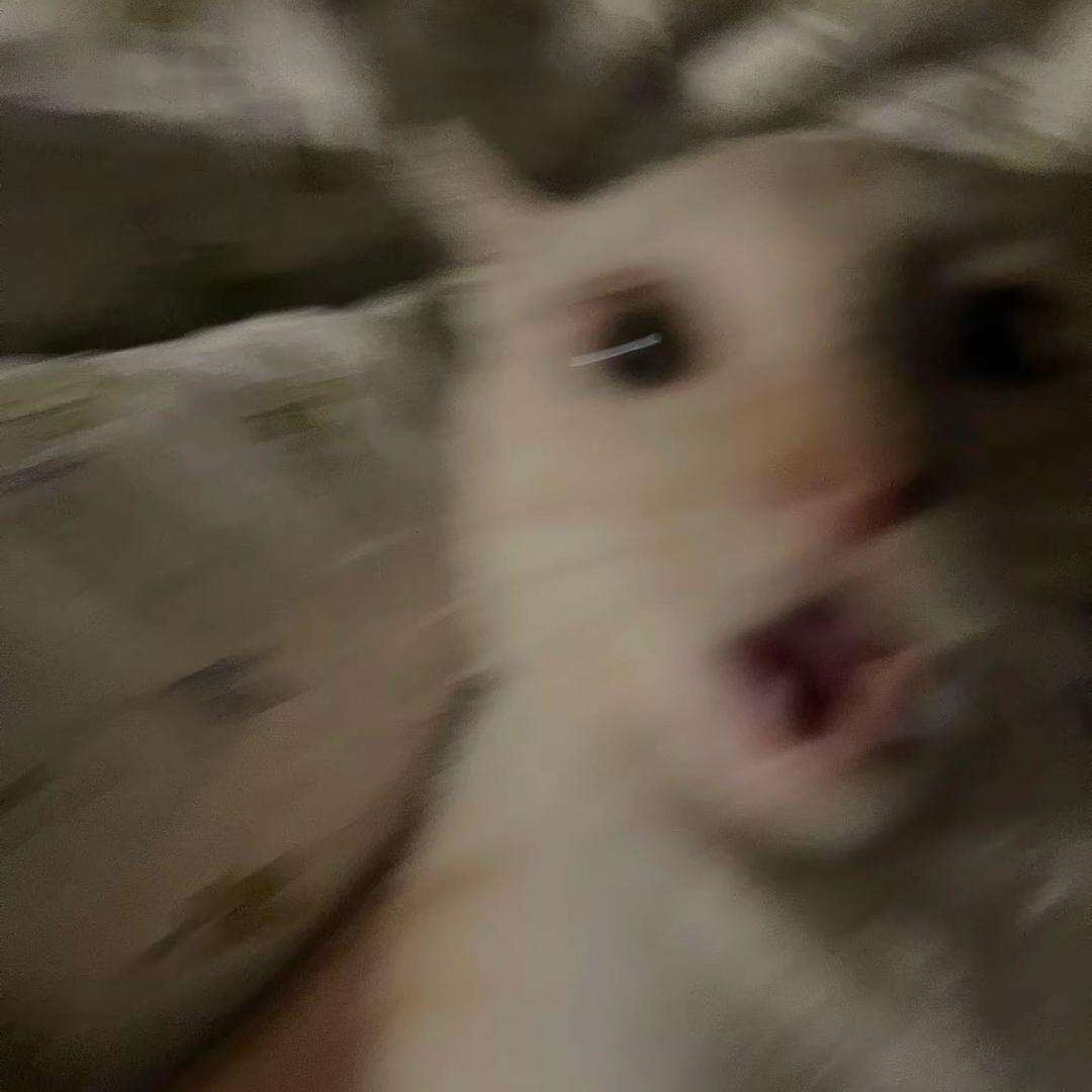 嘎咕