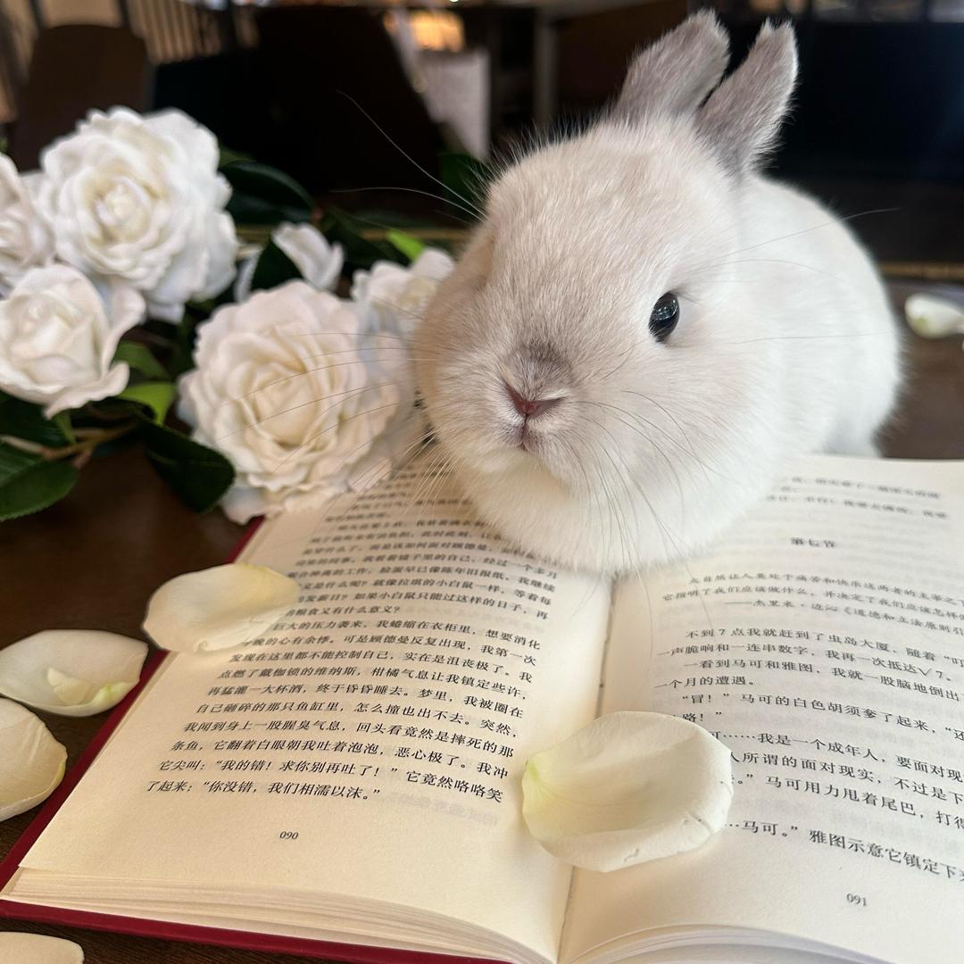 美女舒适区