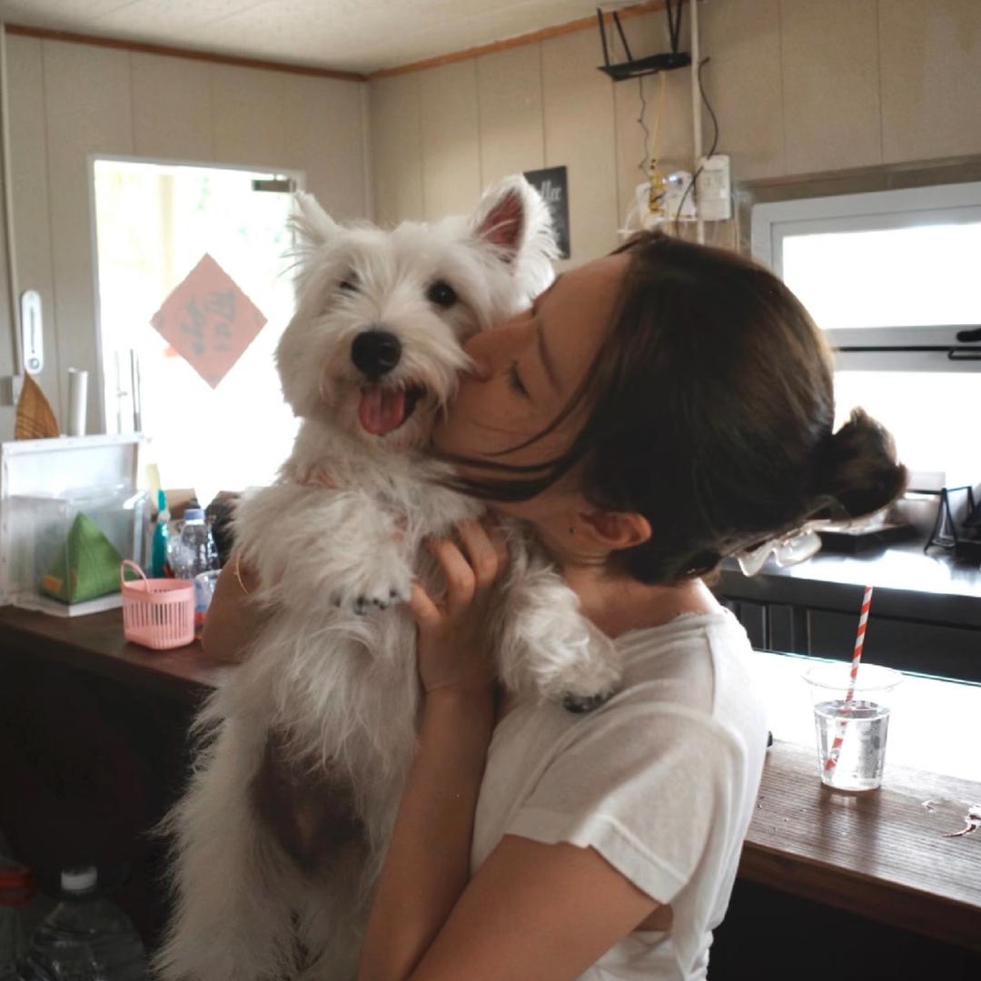 无色无味剧毒老实人