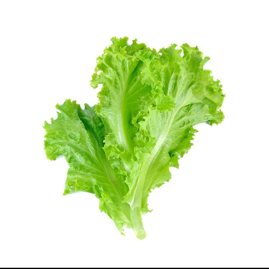 生大菜