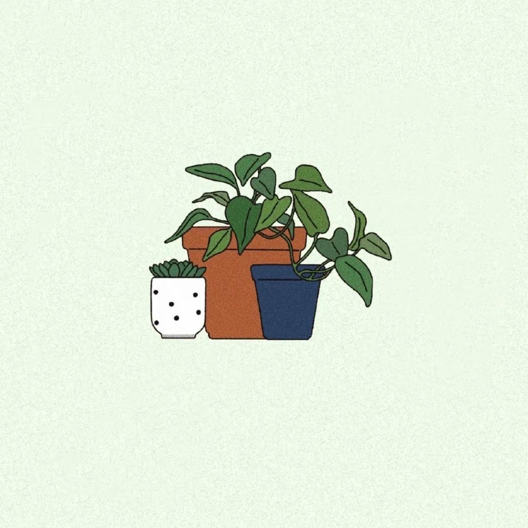 洛洛家（箱包）