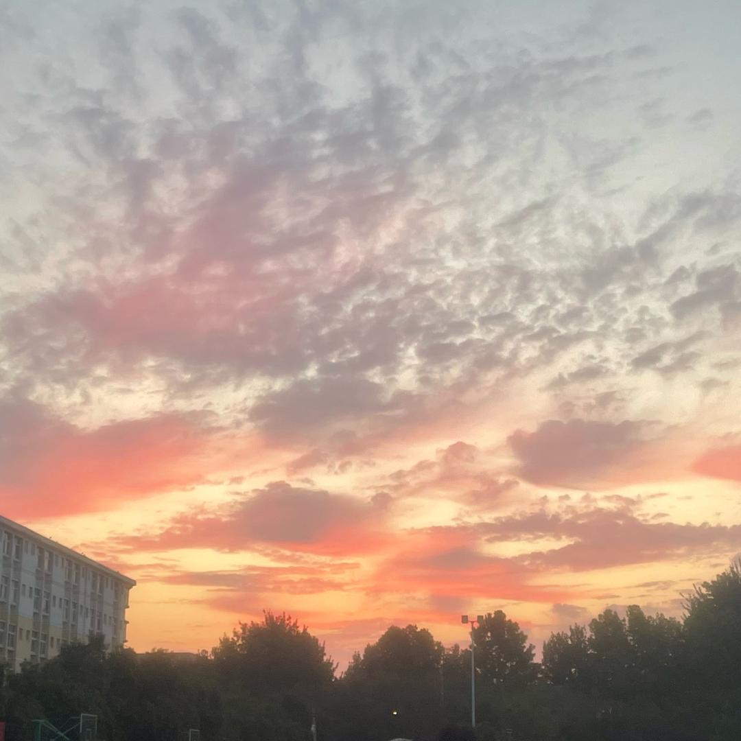久月霜华