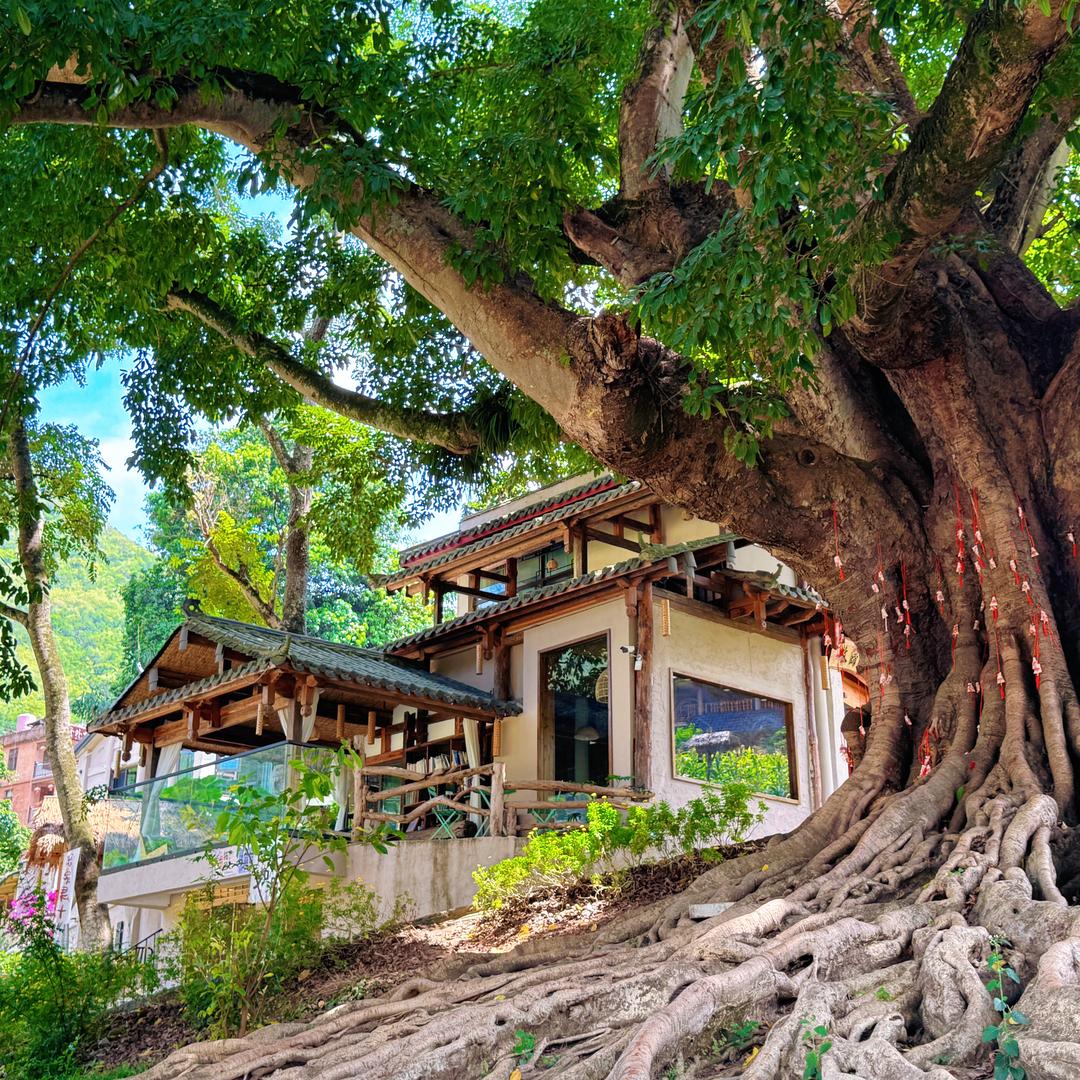 @广南牧风花园小院(坝美世外桃源店)