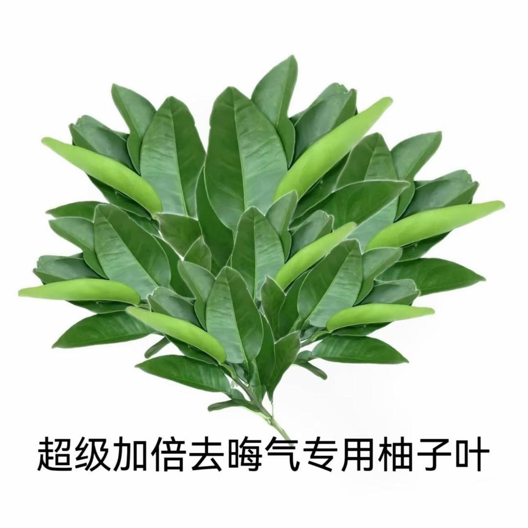 比目鱼
