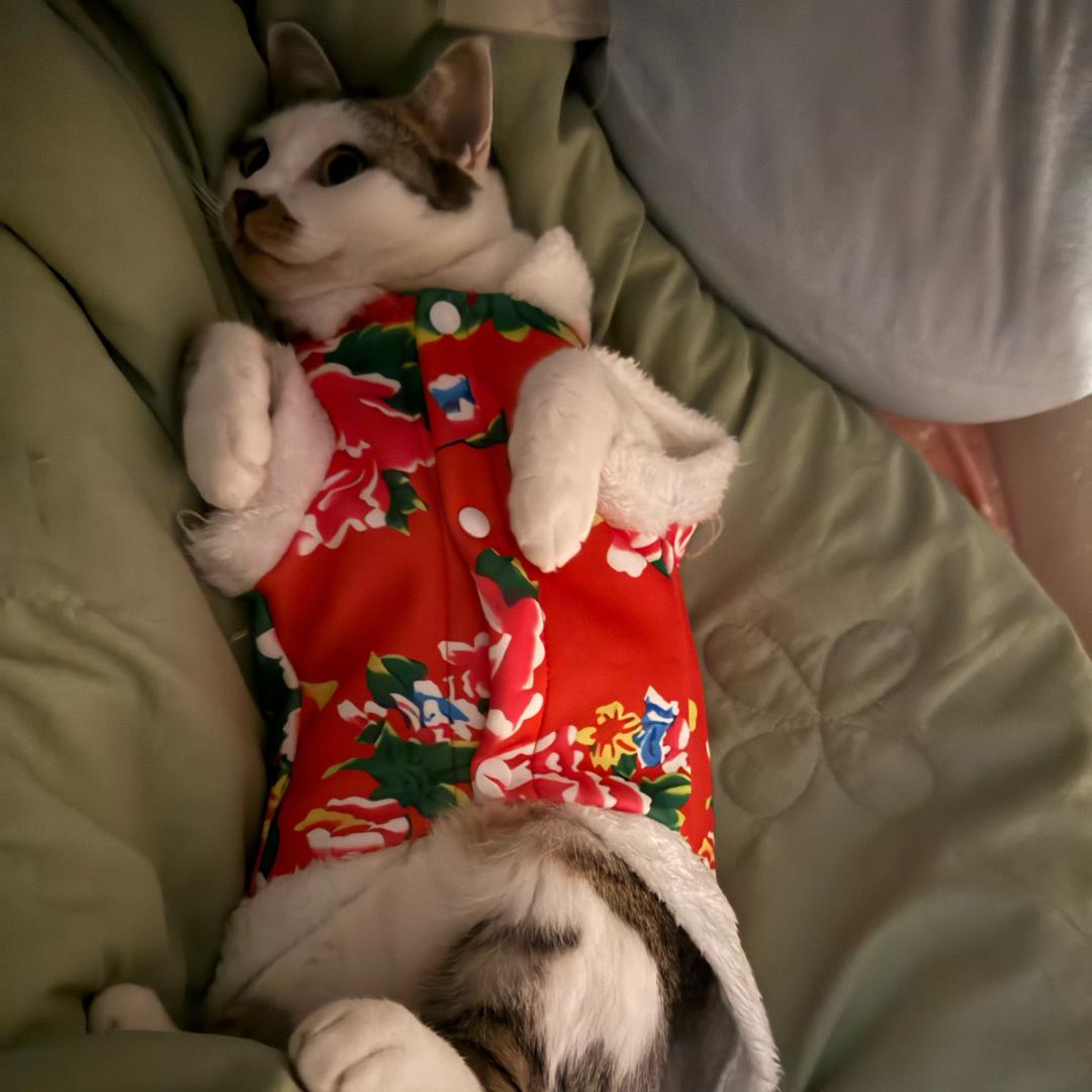 三岁就爱笑_（为宁波小洛熙宝贝发声