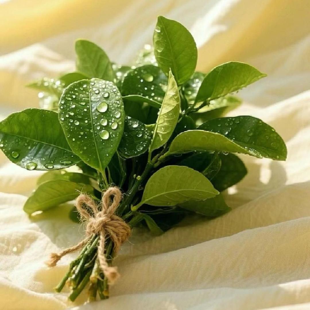 满慈◆美兰百货