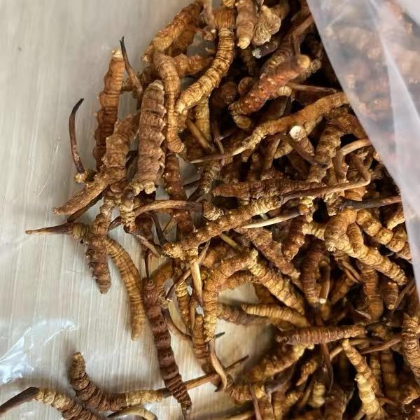 礼品回收（燕窝虫草）