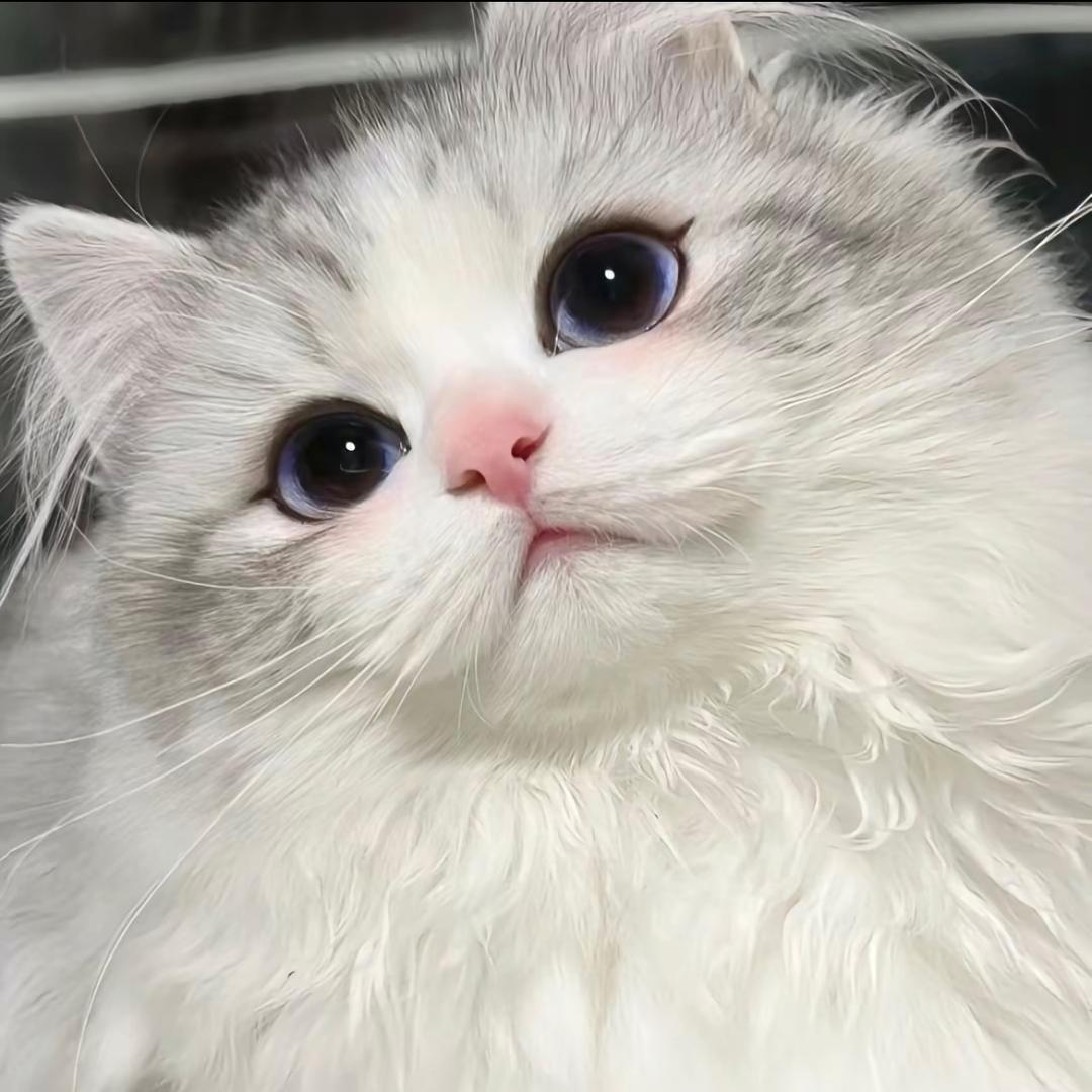 蓉r