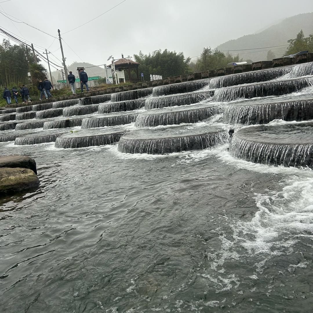 一顿五碗饭🍚🌊